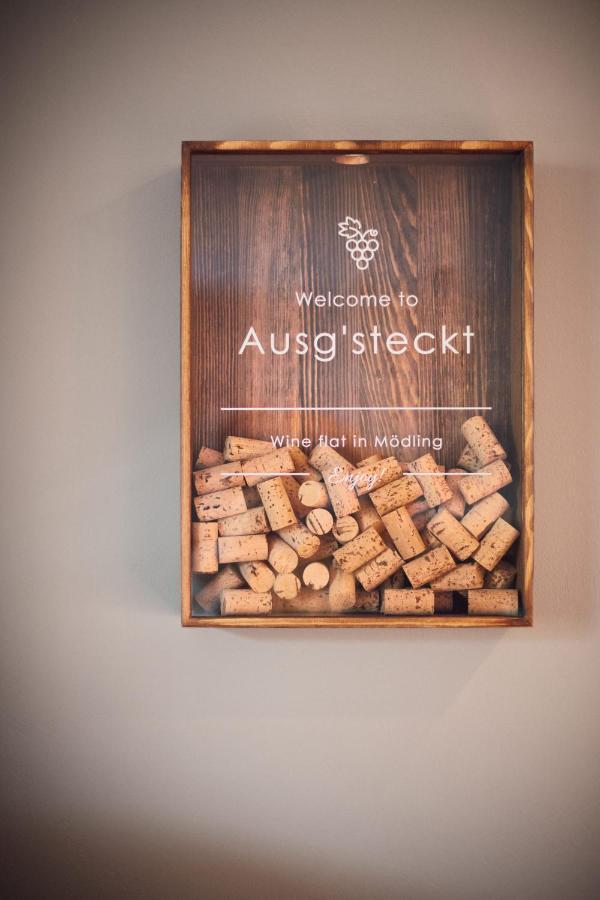 Ausg'Steckt - Wine Flat Modling - Great Location Apartment Exterior photo
